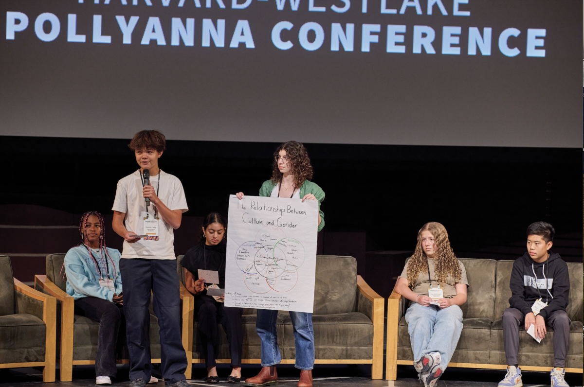 Students present their ideas during an organized student panel.